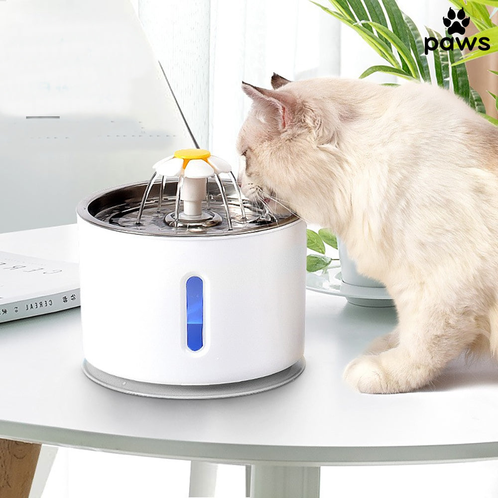 Fonte Para Gatos Flor