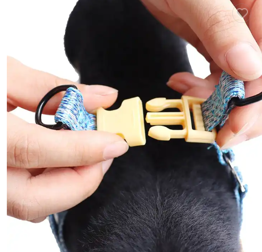 Coleira e Guia Com Amortecedor Laranja