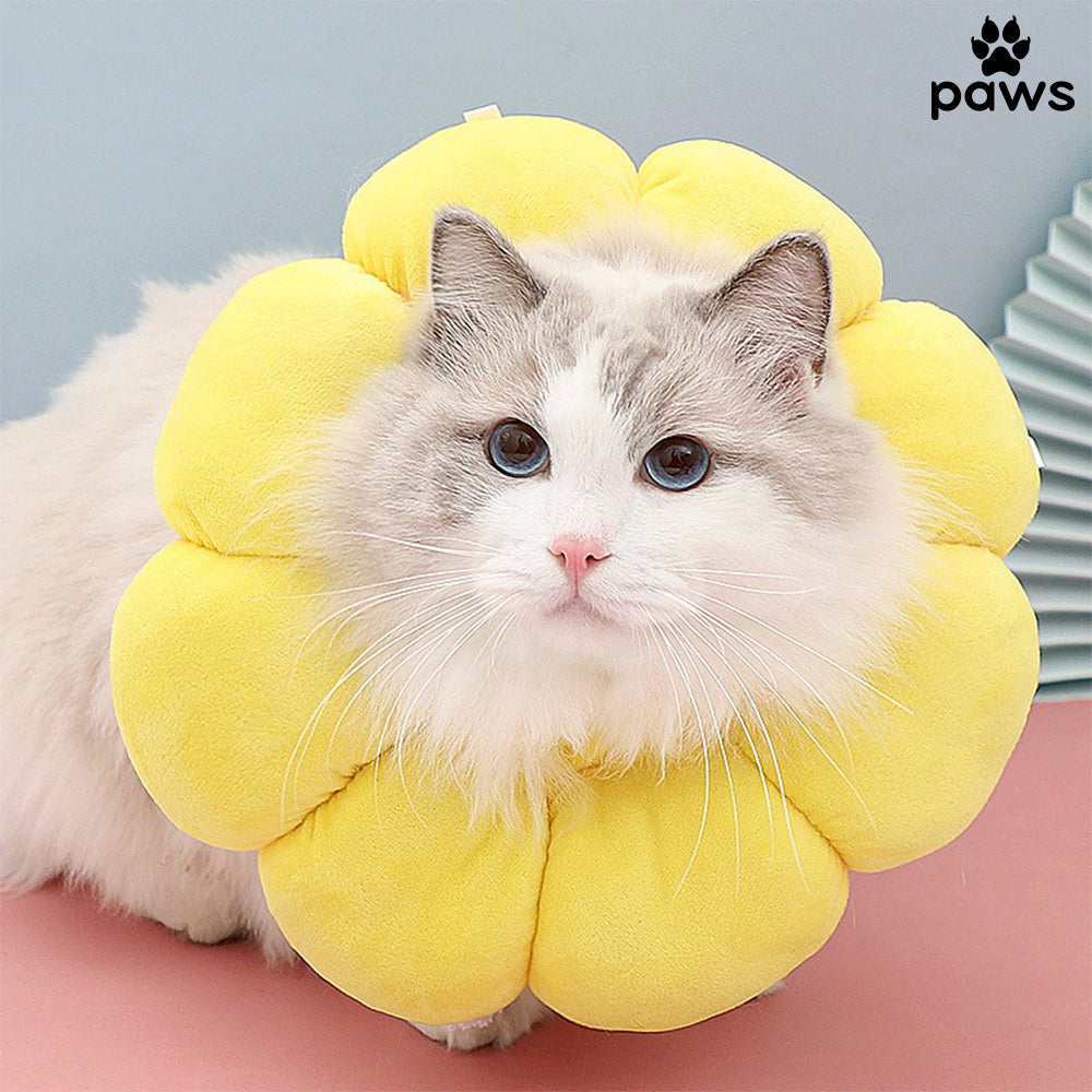 Colar Almofadado Para Gatos Amarelo