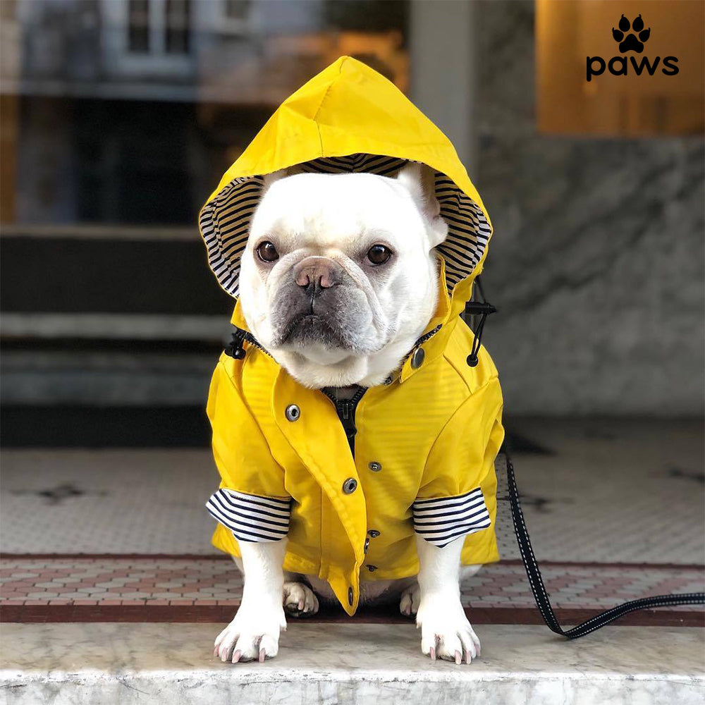 Capa De Chuva Amarela