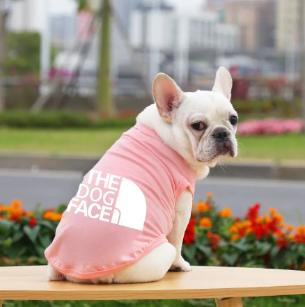 Roupa The Dog Face Branco