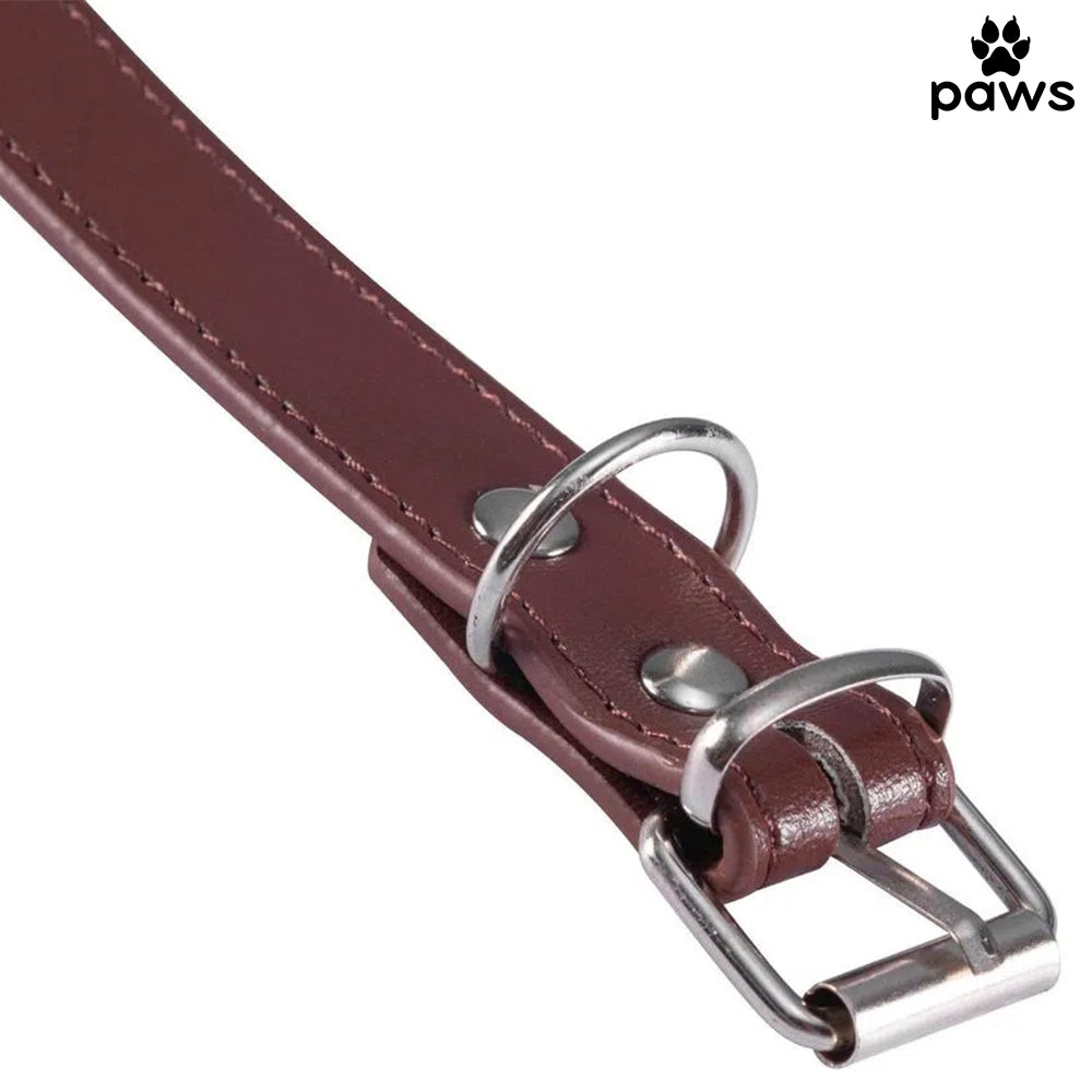 Coleira Couro Marrom